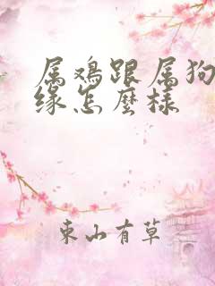 属鸡跟属狗的姻缘怎么样