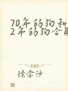 70年的狗和82年的狗合财吗