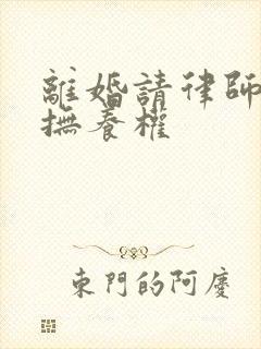 离婚请律师孩子抚养权