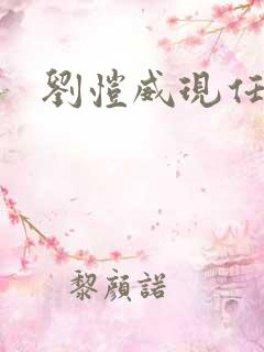 刘恺威现任妻子