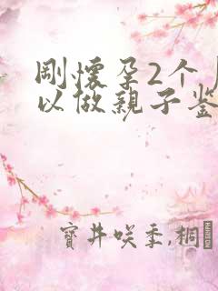 刚怀孕2个月可以做亲子鉴定吗