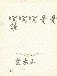 啊啊啊爱爱的小说