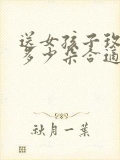 送女孩子玫瑰花多少朵合适