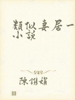 类似妻居一品的小说