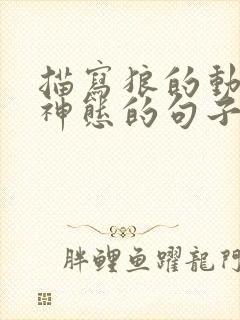 描写狼的动作与神态的句子