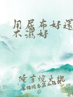 用尿布好还是尿不湿好