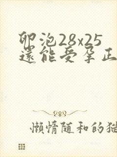 卵泡28x25还能受孕正常吗