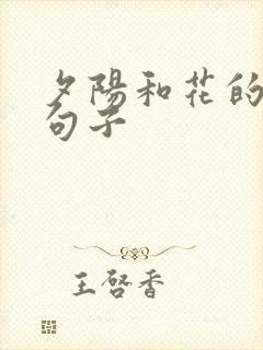 夕阳和花的唯美句子