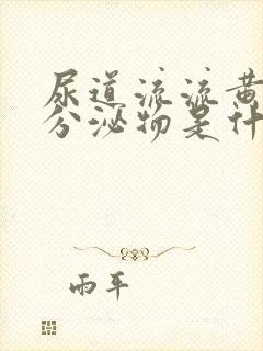 尿道流流黄脓状分泌物是什么病