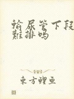 输尿管下段结石难排吗