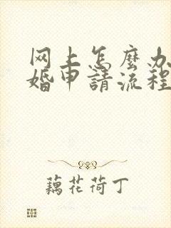 网上怎么办理离婚申请流程