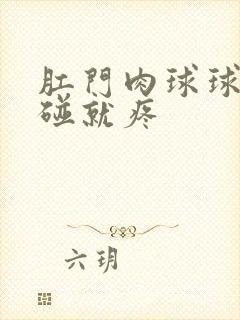 肛门肉球球硬一碰就疼