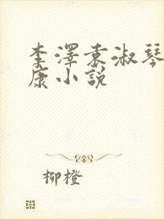 李泽袁淑琴卢伟康小说