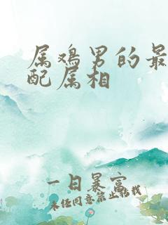 属鸡男的最佳婚配属相