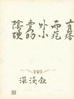 阴囊外面有个硬硬的小疙瘩