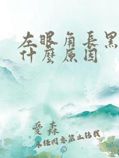 左眼角长黑斑是什么原因