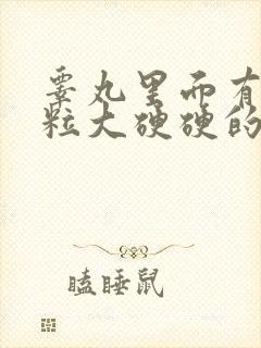 睾丸里面有个豆粒大硬硬的小疙瘩