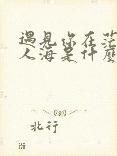 遇见你在茫茫的人海是什么歌