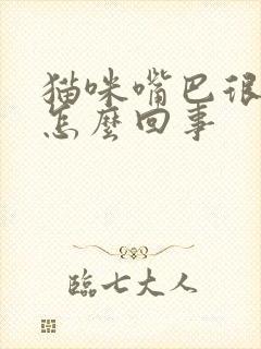 猫咪嘴巴很臭是怎么回事