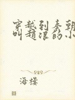 穿越到秦朝主角叫赵浪的小说