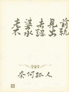 老婆去见前男友不承认出轨