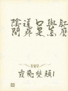 阴道口与肛门中间疼是怎么回事