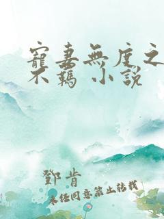 宠妻无度之嫡妃不羁 小说