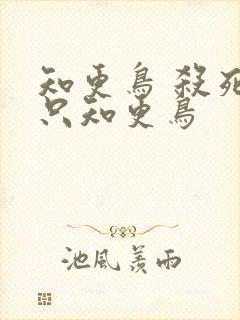 知更鸟 杀死一只知更鸟