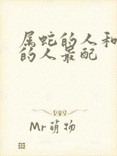 属蛇的人和属啥的人最配