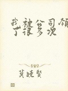 我被公司领导C了很多次