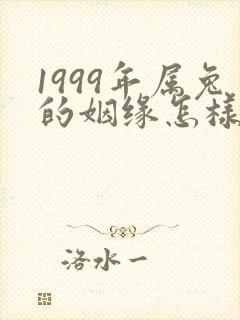 1999年属兔的姻缘怎样