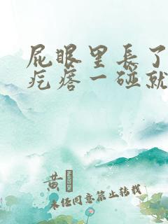 屁眼里长了个硬疙瘩一碰就很疼