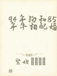 94年狗和85年牛相配婚姻如何