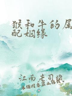 猴和牛的属相婚配姻缘