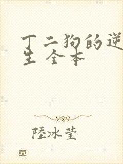 丁二狗的逆袭人生 全本