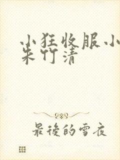 小狂收服小舞,朱竹清