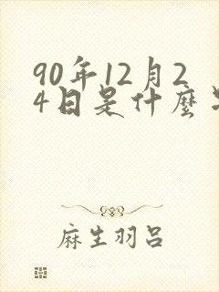 90年12月24日是什么星座