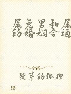 属兔男和属牛女的婚姻合适吗