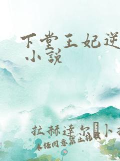 下堂王妃逆袭记 小说