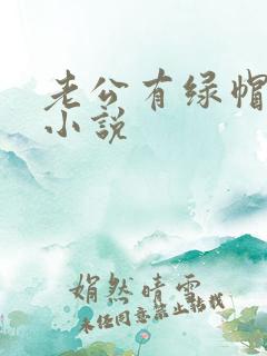 老公有绿帽癖的小说