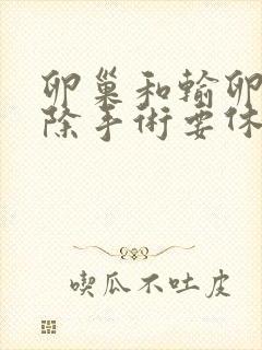 卵巢和输卵管切除手术要休养多少久