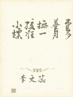 小孩抚养费最低标准一月多少钱