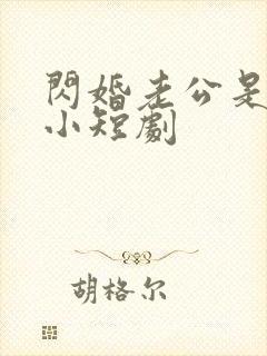 闪婚老公是豪门小短剧