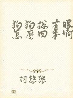 狗狗总有眼屎是怎么回事啊