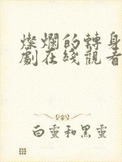 灿烂的转身电视剧在线观看全集免费