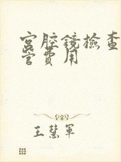 宫腔镜检查输卵管费用