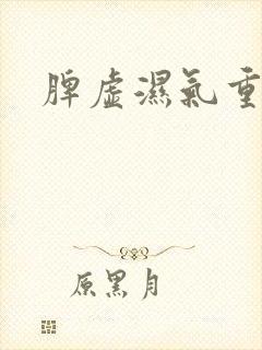 脾虚湿气重痰湿