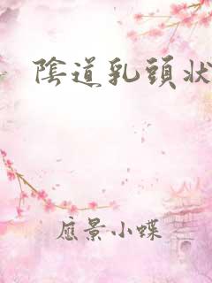 阴道乳头状疙瘩