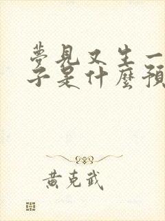 梦见又生一个儿子是什么预兆