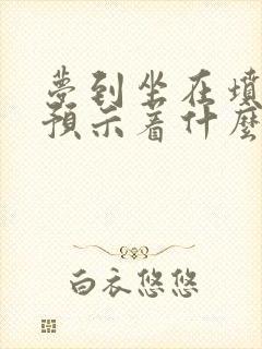 梦到坐在坟地里预示着什么